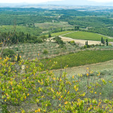 7D2B1438.jpg