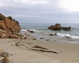 Driftwood