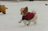 Jan28_07_709.JPG