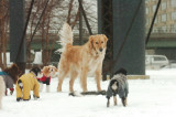 Jan28_07_710.JPG
