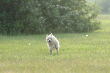 June2_07_054.JPG