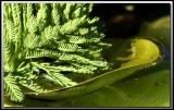 IMG_5837