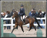 AMLIE   _MG_7683a.jpg