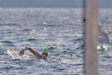 _MG_4492a 8x12 copie.jpg