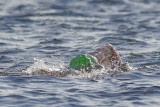 _MG_4535a 8x12 copie.jpg
