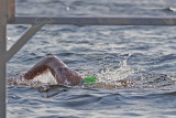 _MG_4543a 8x12 copie.jpg