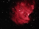 Monkey Head Nebula  (NGC 2175)