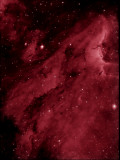 Pelican Nebula