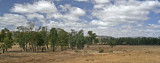 Summer clouds at Moonambel.JPG