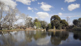 Maryborough park lake in the springtime.jpg