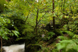 Aira Force, Ullswater
