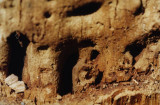 cave house