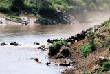 Mara River Crossing