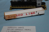 Martin Young Model