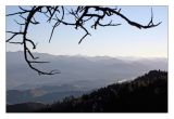 Los Picos de Europa