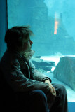 London Aquarium