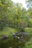 GamLodgStream1 BlackHillsNikon1 063.jpg