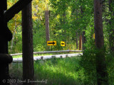 IMG_0268TwoWays.jpg