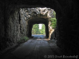 IMG_0289 copyTunnelDouble.jpg