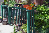 Backyard before