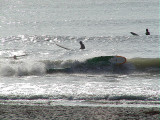 P7190022 2.JPG