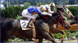 Another Day at the Racetrack