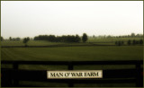 Man O War Farm