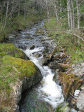 Duffey Creek