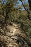 Wrightson Trail