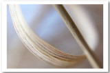  Gentle Curve