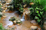 Pool of Hot Water