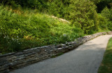 Going Down the Lane
