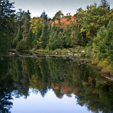 Mirrored Autumn