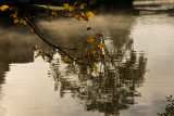 Early Morning Reflections