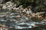 Truckee River 0071 4-27-07.jpg