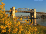 Burrard Bridge in Spring