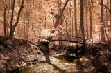 warm tone footbridge