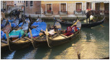 8 - Bed of Roses Venetian style