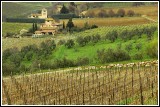 Panzano in Chianti