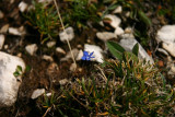 IMG_4481.JPG