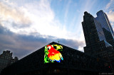 Dawn of the Parrot