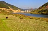 Paddy field and grazing area.