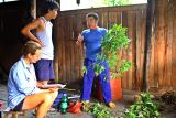 4274 Wu Shun Jun discussing herbal plants with Dr. Eisenberg and Dengtao.