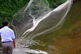 3572 Casting a net in the main village stream.