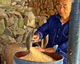 0724 Rice to be hulled.