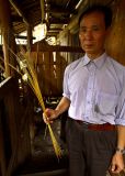 2350 Tall glutinous rice stock. Glutinous rice is the most prized among the Kam people.