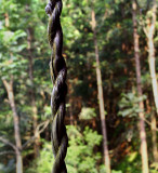9923 Twisted vine. In use for 9 years, twisted vines are very strong, durable and rot resistant.