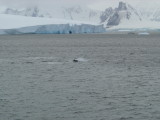 X The Antarctic Peninsula