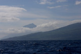 Pico seen from sea near Lajes OZ9W8214