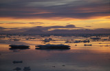 East Greenland pack-ice low sun 6